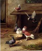 unknow artist Pigeons 194